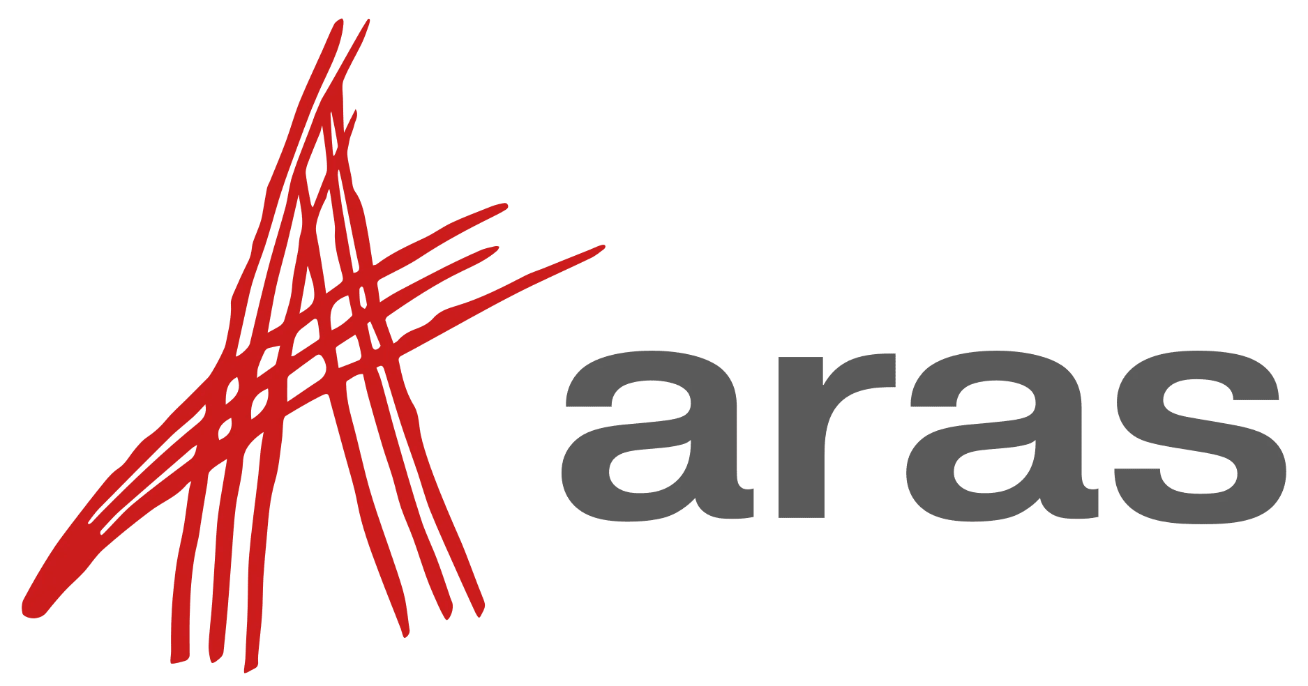 Aras logo