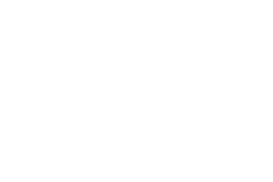 Main Street Auto logo